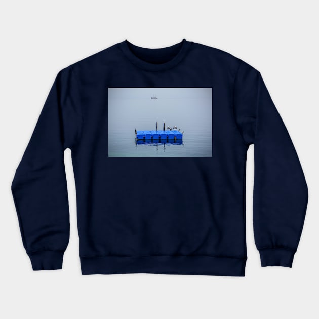 Seagulls in Sumartin, Croatia Crewneck Sweatshirt by jojobob